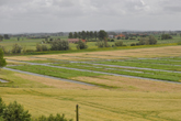 zicht op grasvelden in ijzervallei