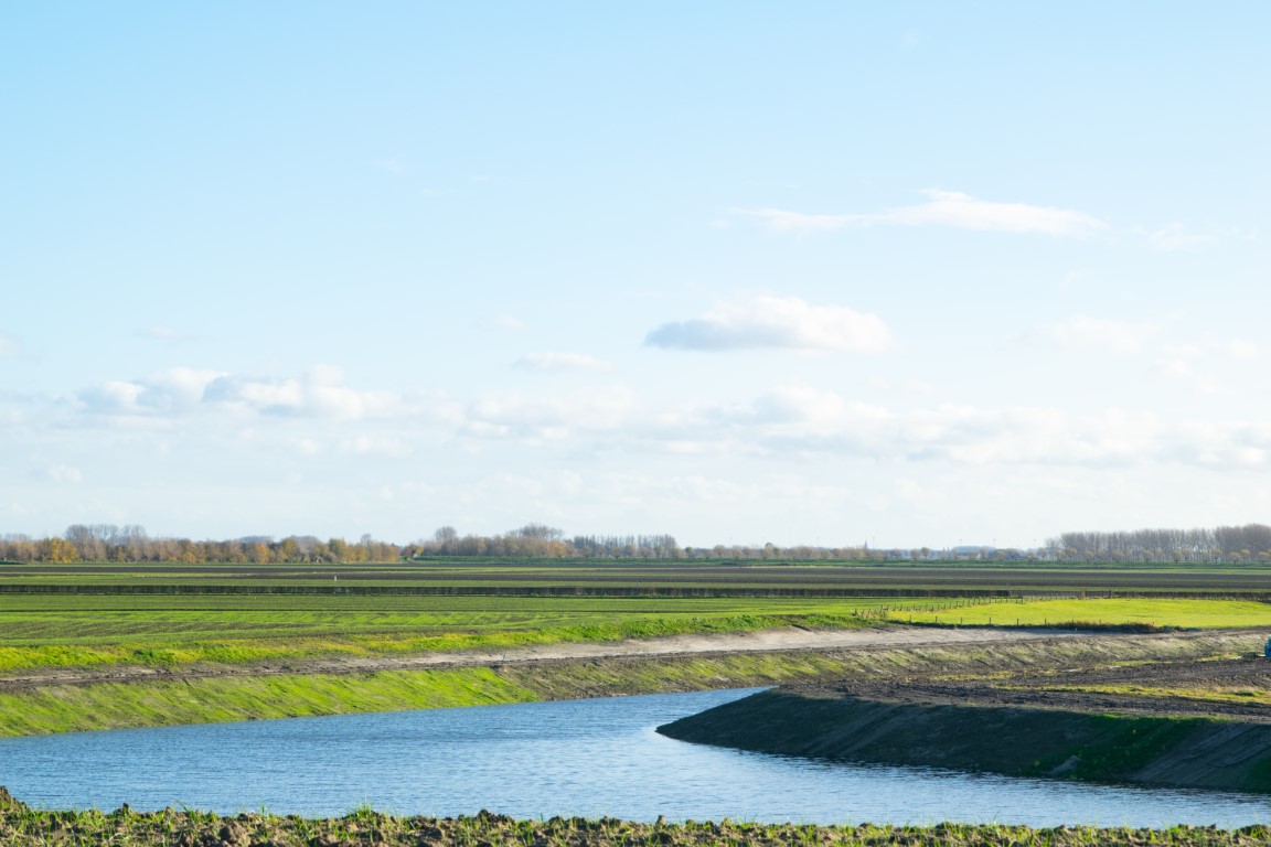 polders omgeving Zwin