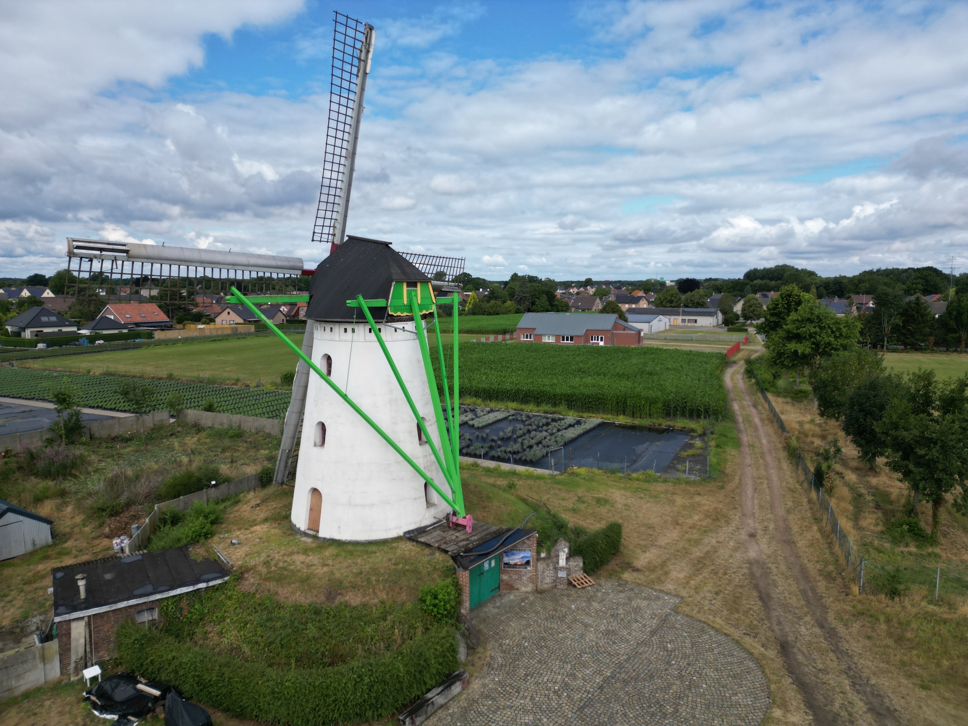 molen web.jpg