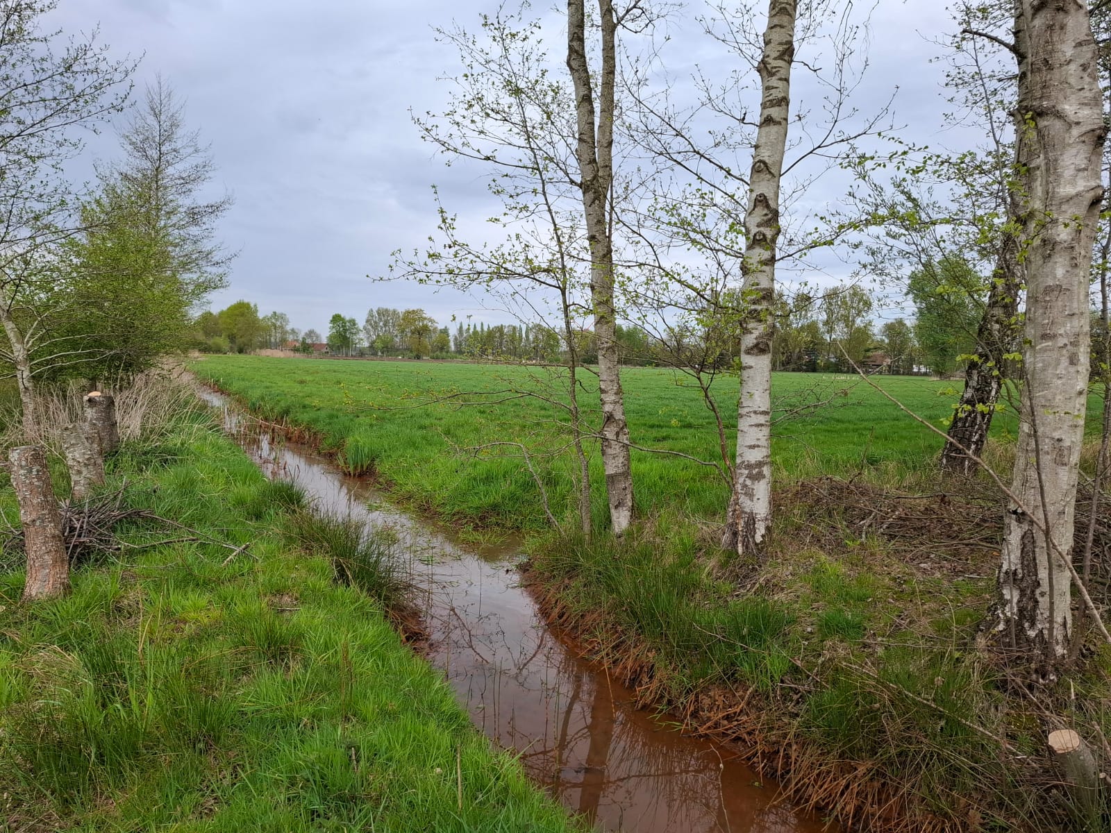 IMG-20250415-De Zegge hoek perceel 41.jpg