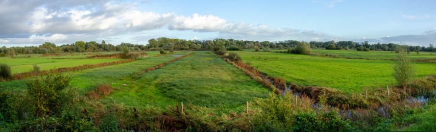 Zicht op het meersengebied vanuit de vogelkijkhut