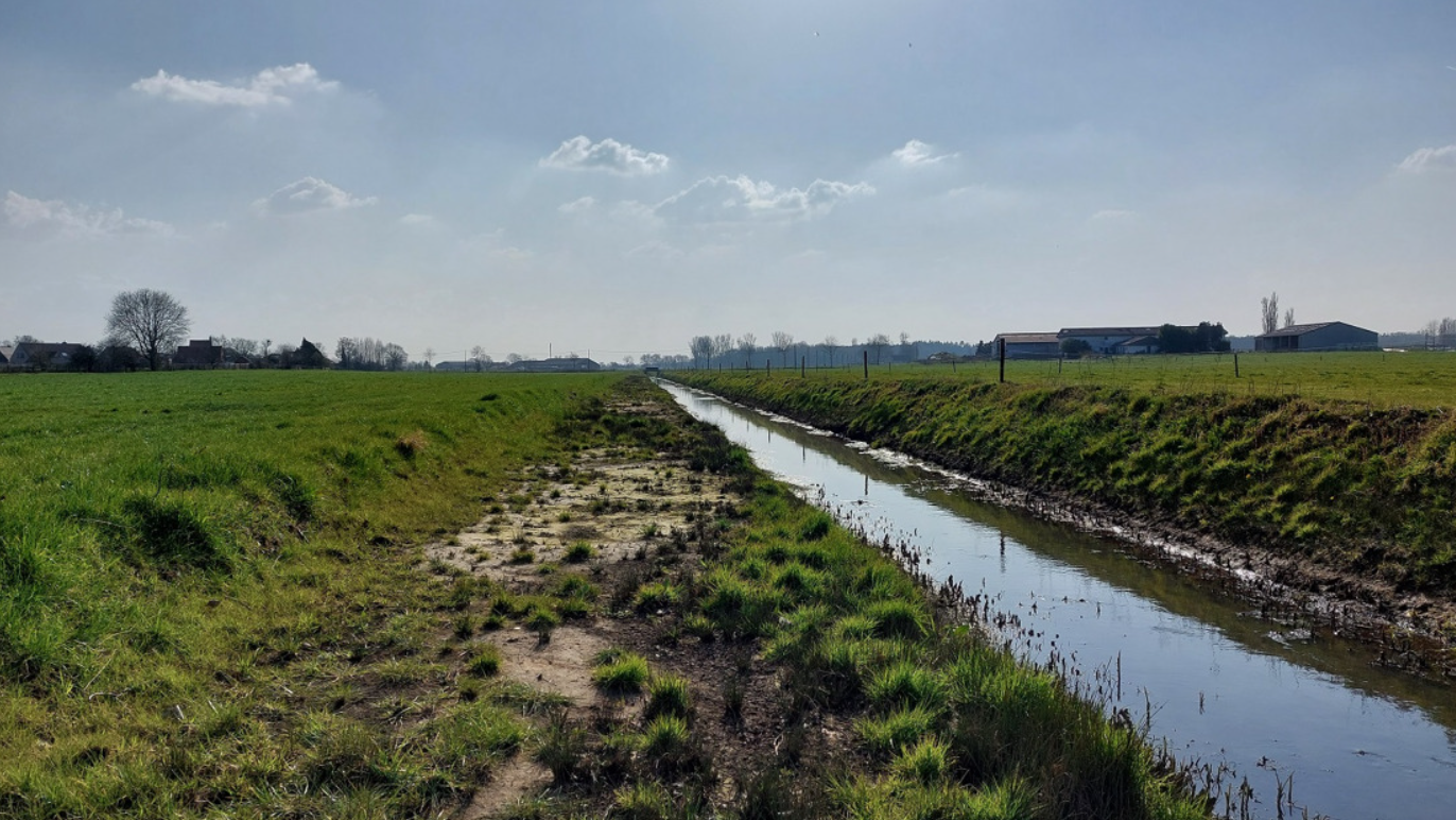 uitgegraven winterbedding langs Velddambeek - Baliebrugge