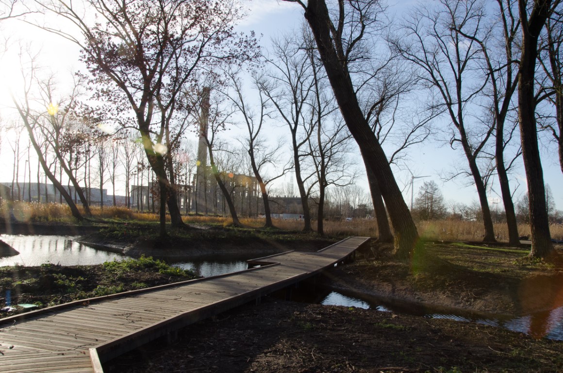 vlonderpad in het natuurgebied