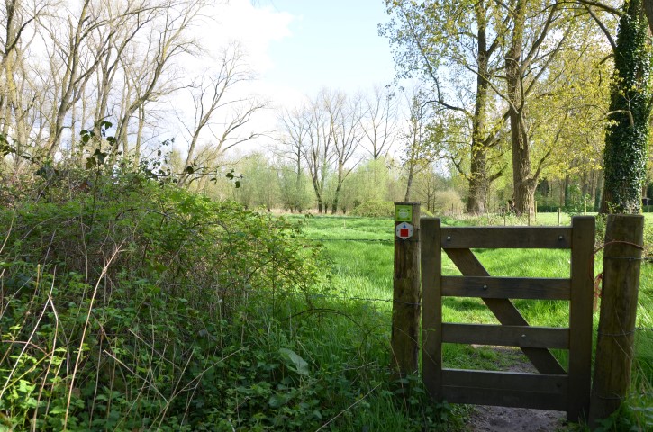 Latemse meersen - wandelpad met hekje