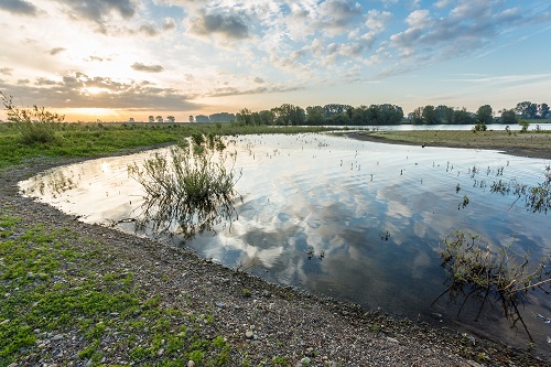 Foto toont de Maasvallei