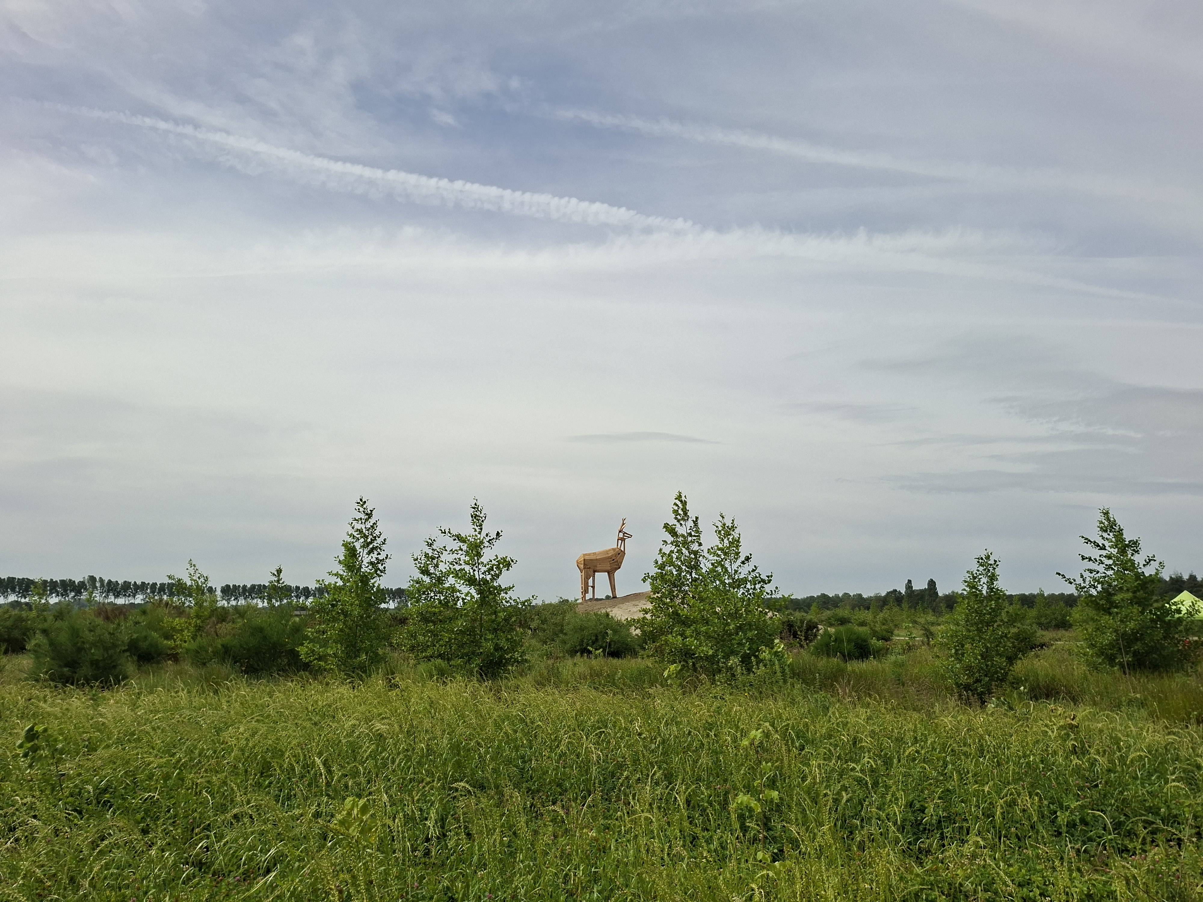 de houten ree op de heuvel is van ver te zien