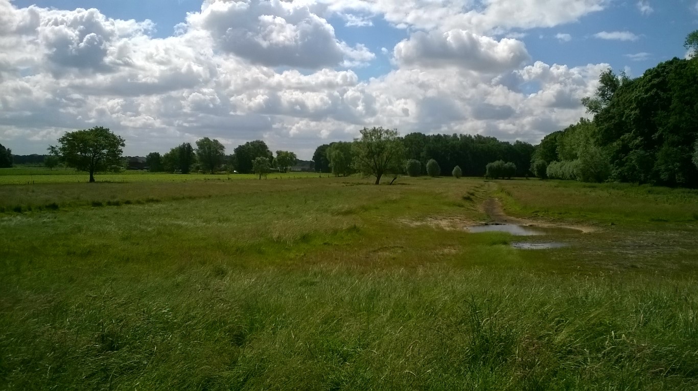 Reeds uitgevoerd landschapsplan met boomgaard, hagen, houtkanten, een ven, en geherprofileerde grachten