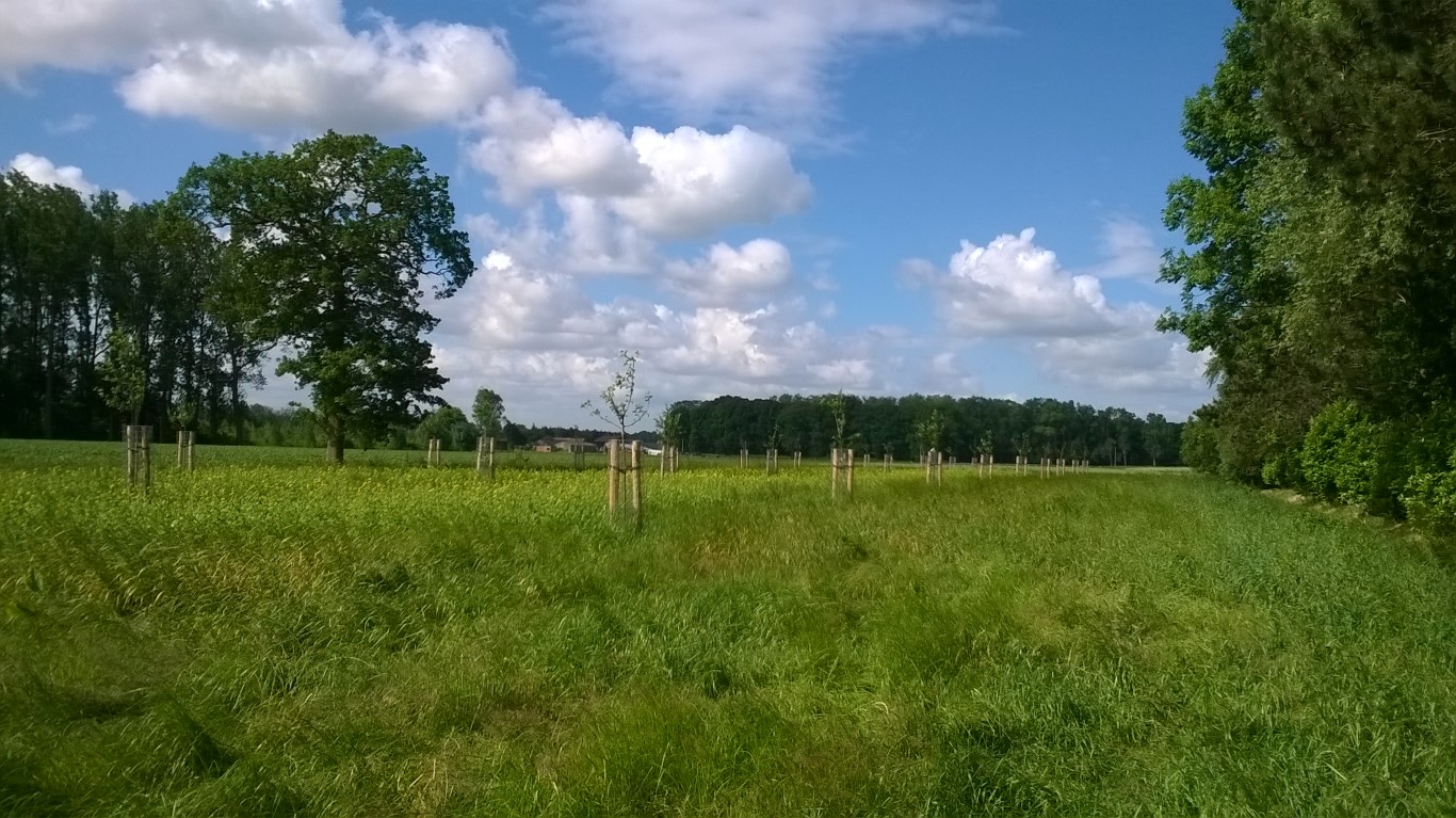 Reeds uitgevoerd landschapsplan met boomgaard, hagen, houtkanten, een ven, en geherprofileerde grachten