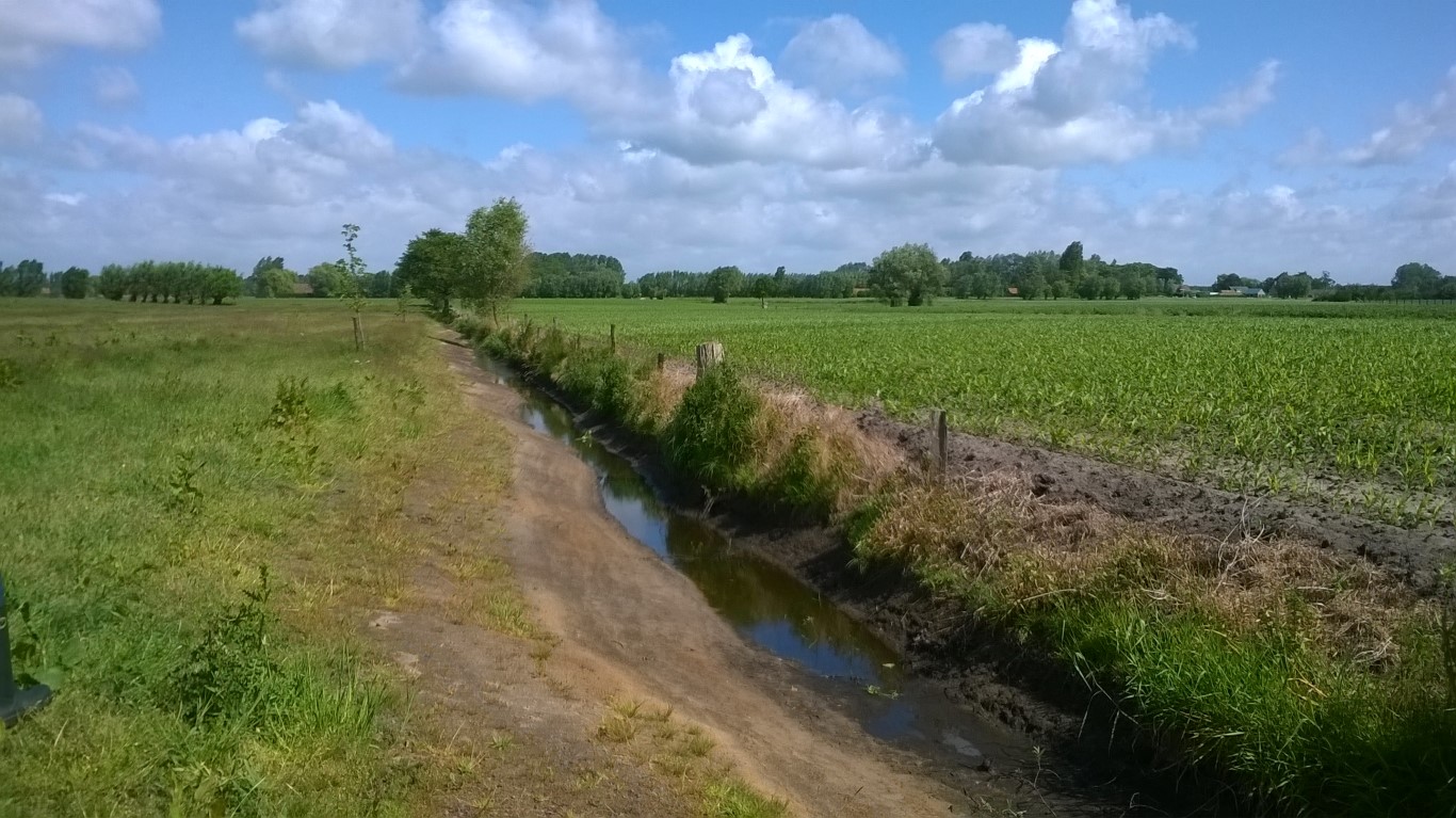 Reeds uitgevoerd landschapsplan met boomgaard, hagen, houtkanten, een ven, en geherprofileerde grachten