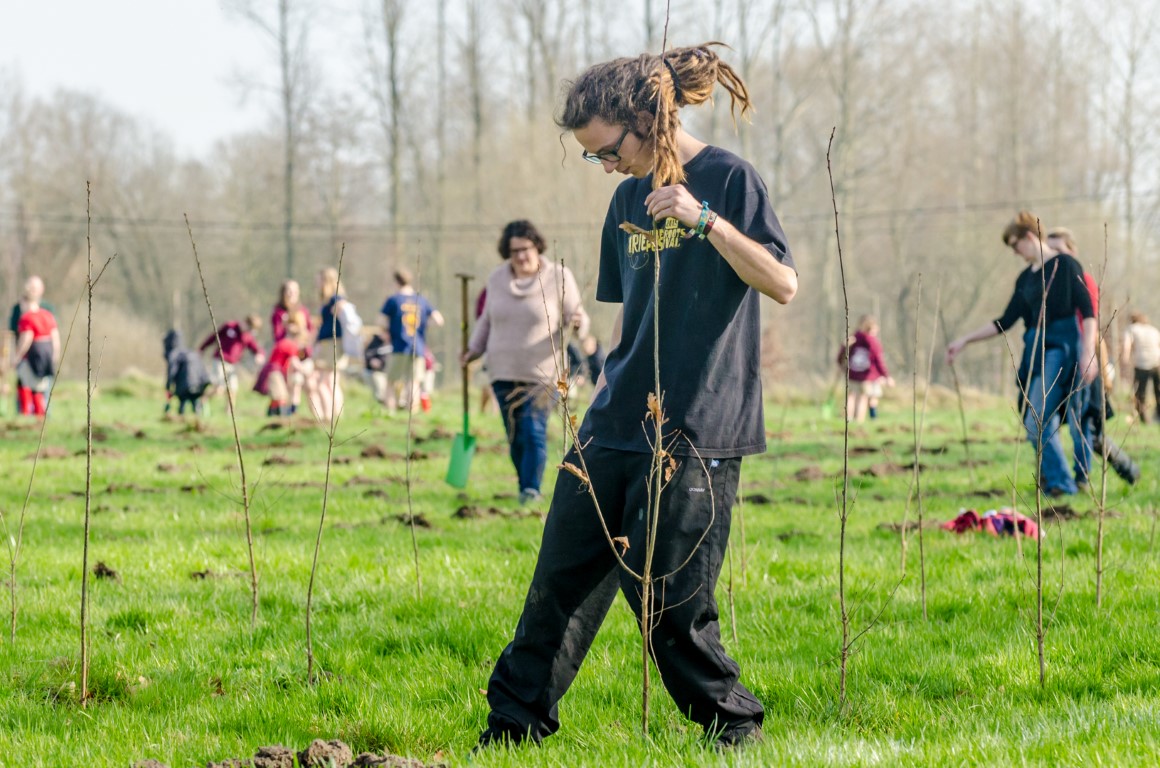 plantactie Ockerhout