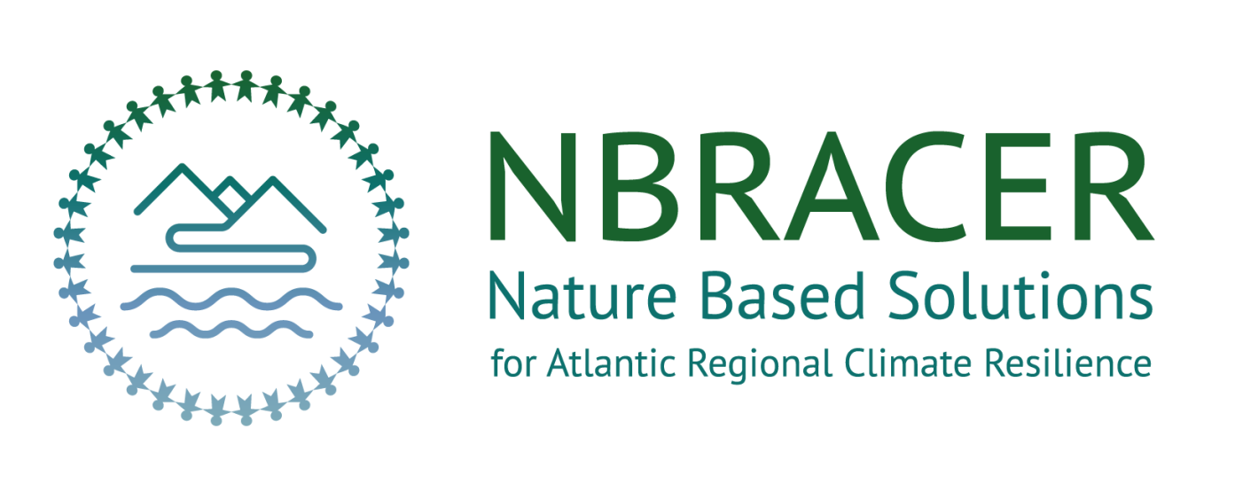 afbeelding logo nbracer