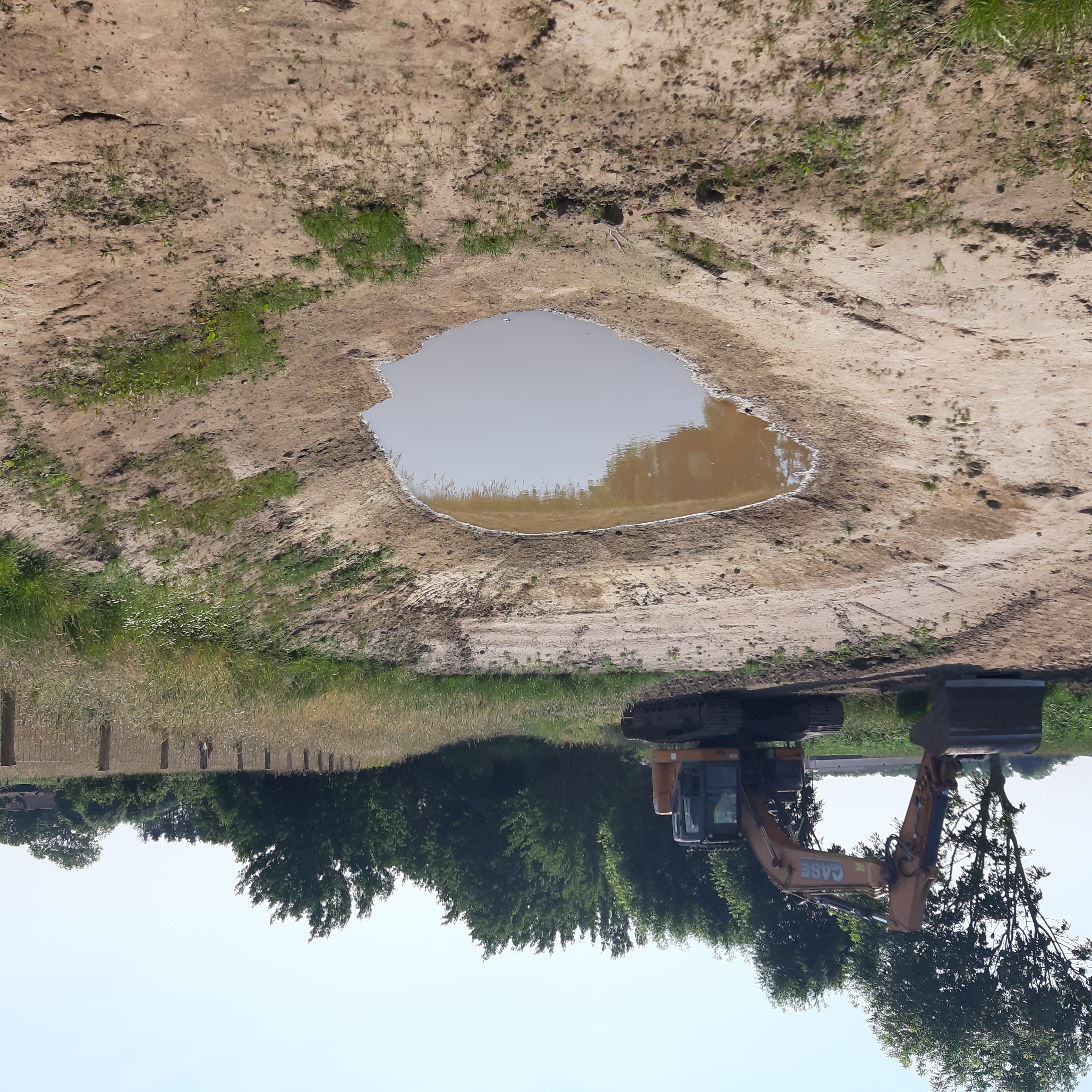 nieuwe poel langs het wandelpad