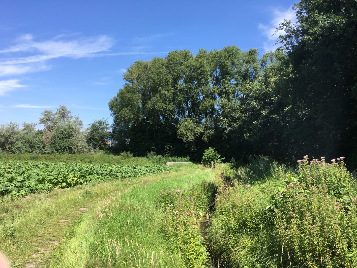 sfeerbeeld koppelingsgebied Oostakker-Noord