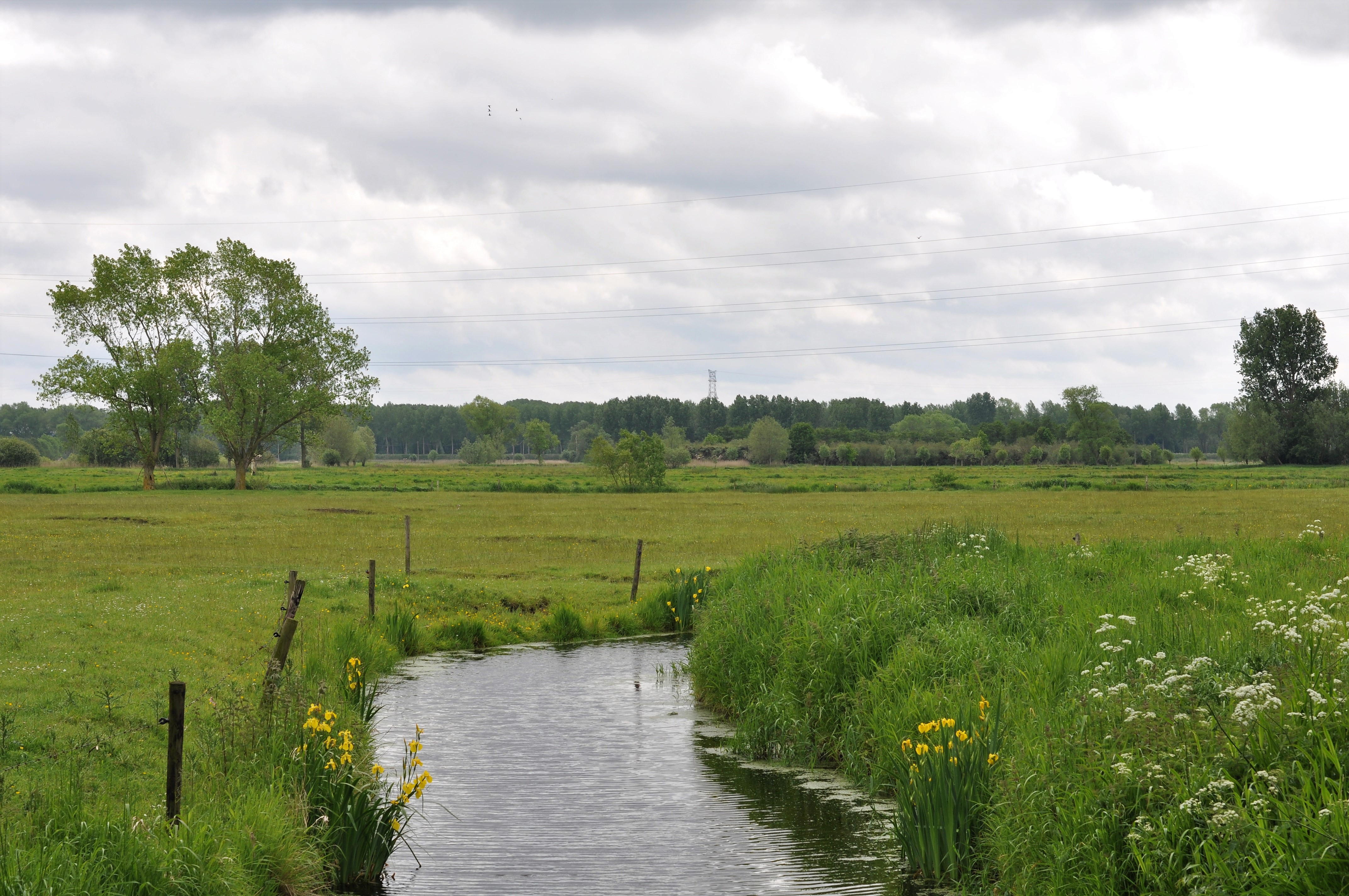 Beek slingert door weide in Oudlandpolder en de Noordede