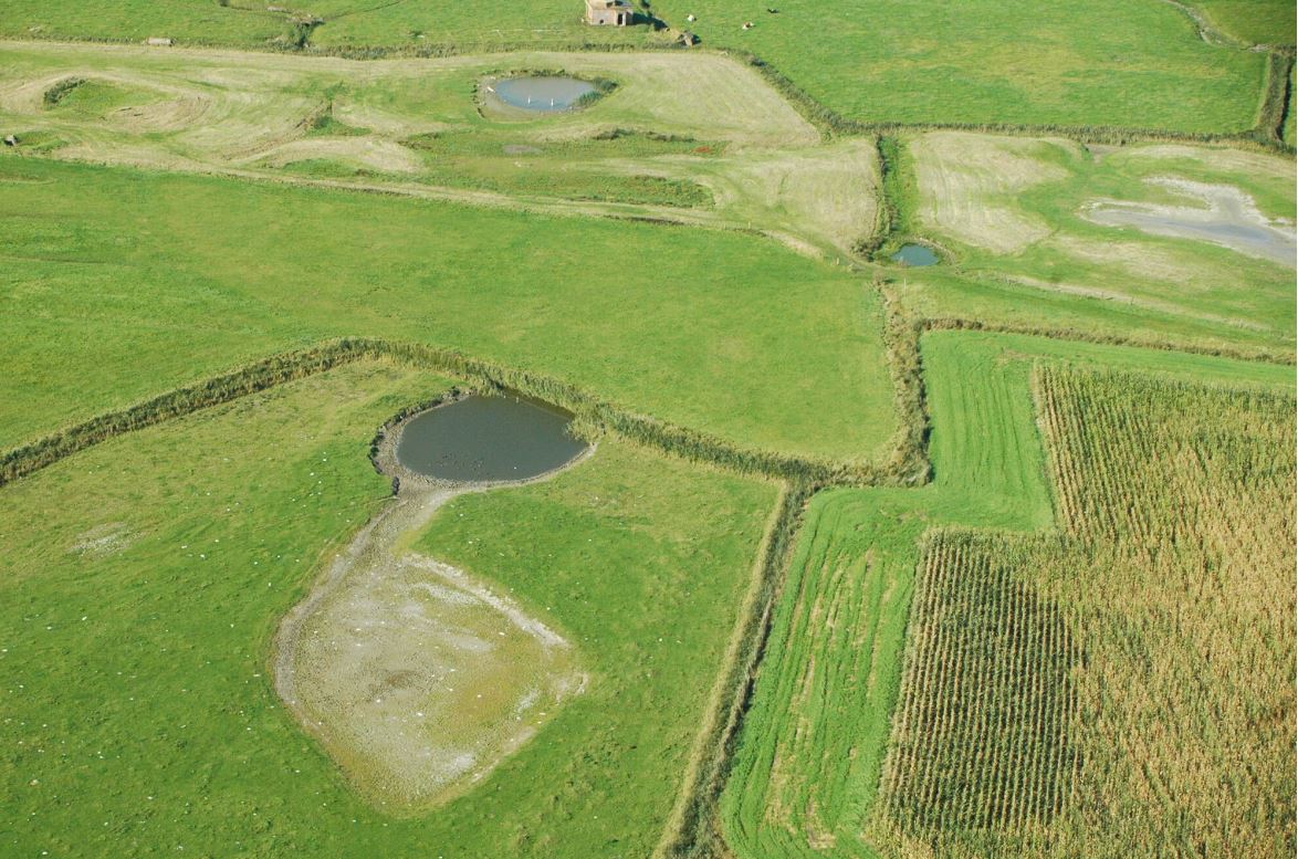 Oostelijke compartimenten Uitkerkse Polder