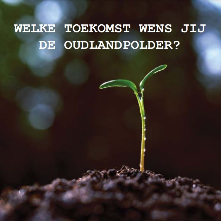 zaadje dat ontkiemt uit de bodem