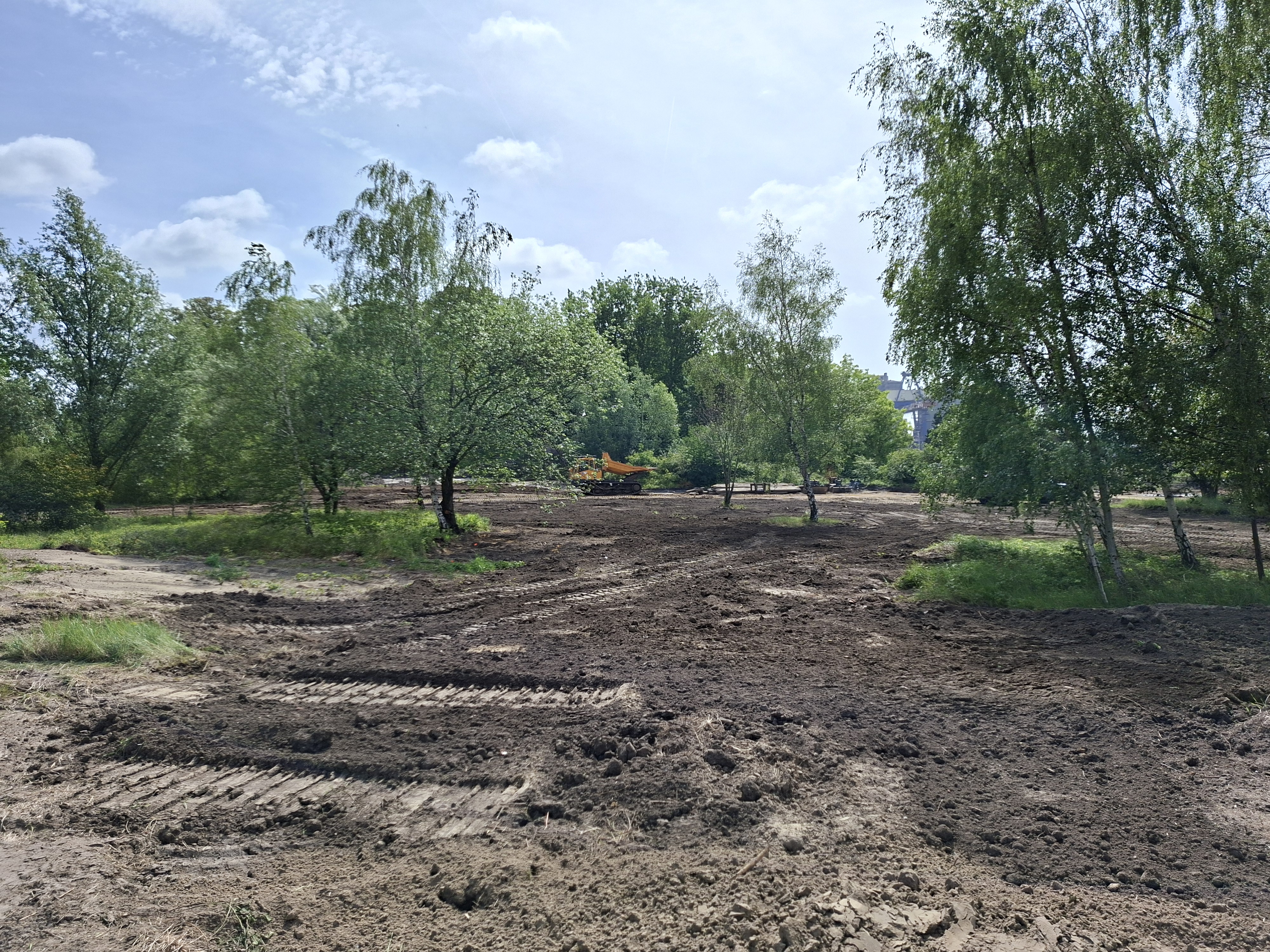 zicht op intensief grasland