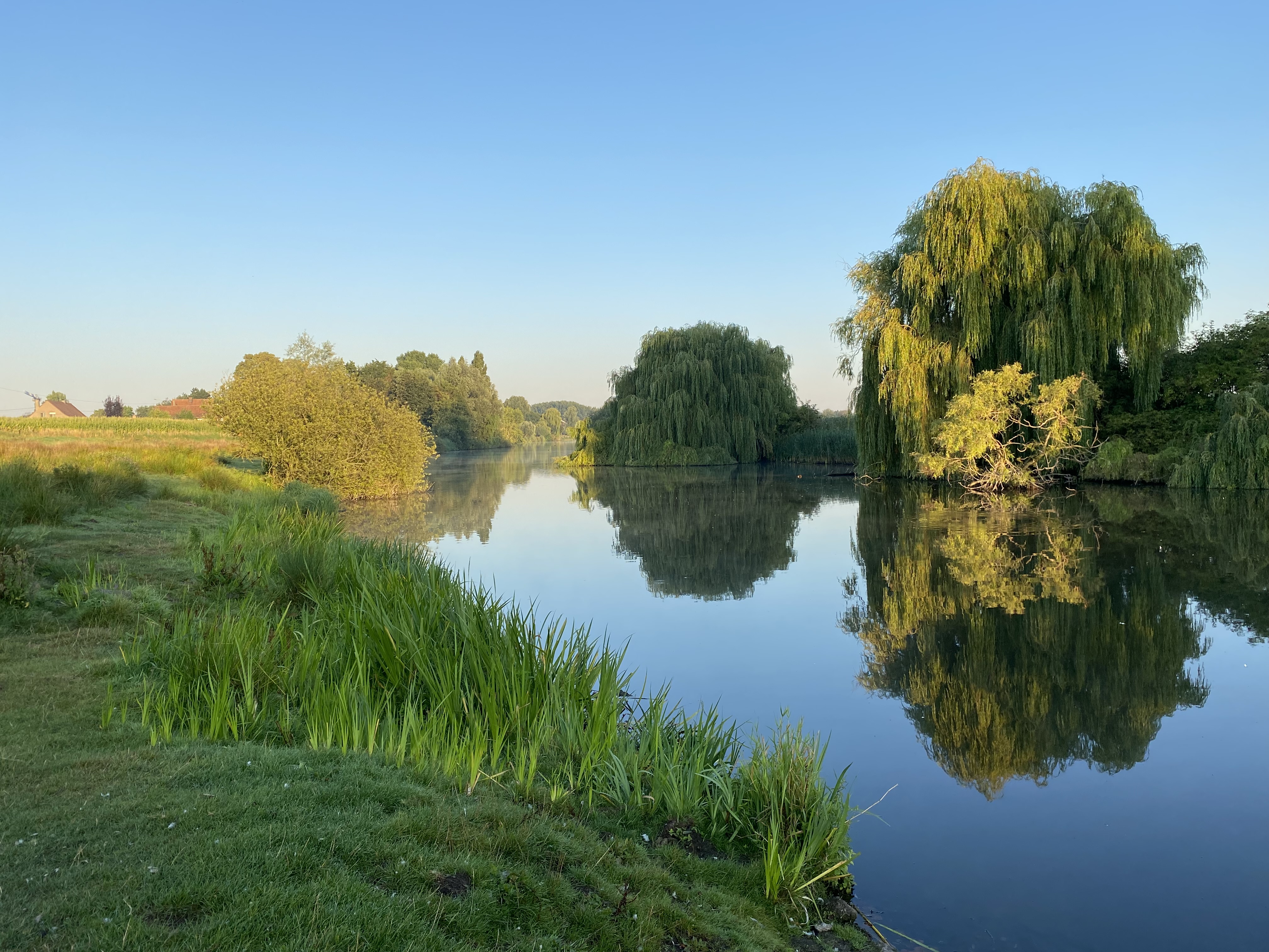 leiemeander met natuurlijke begroeiing