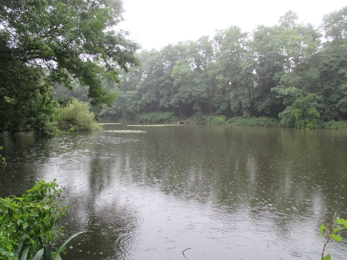 Vous regardez une photo de l'étang Geevaert