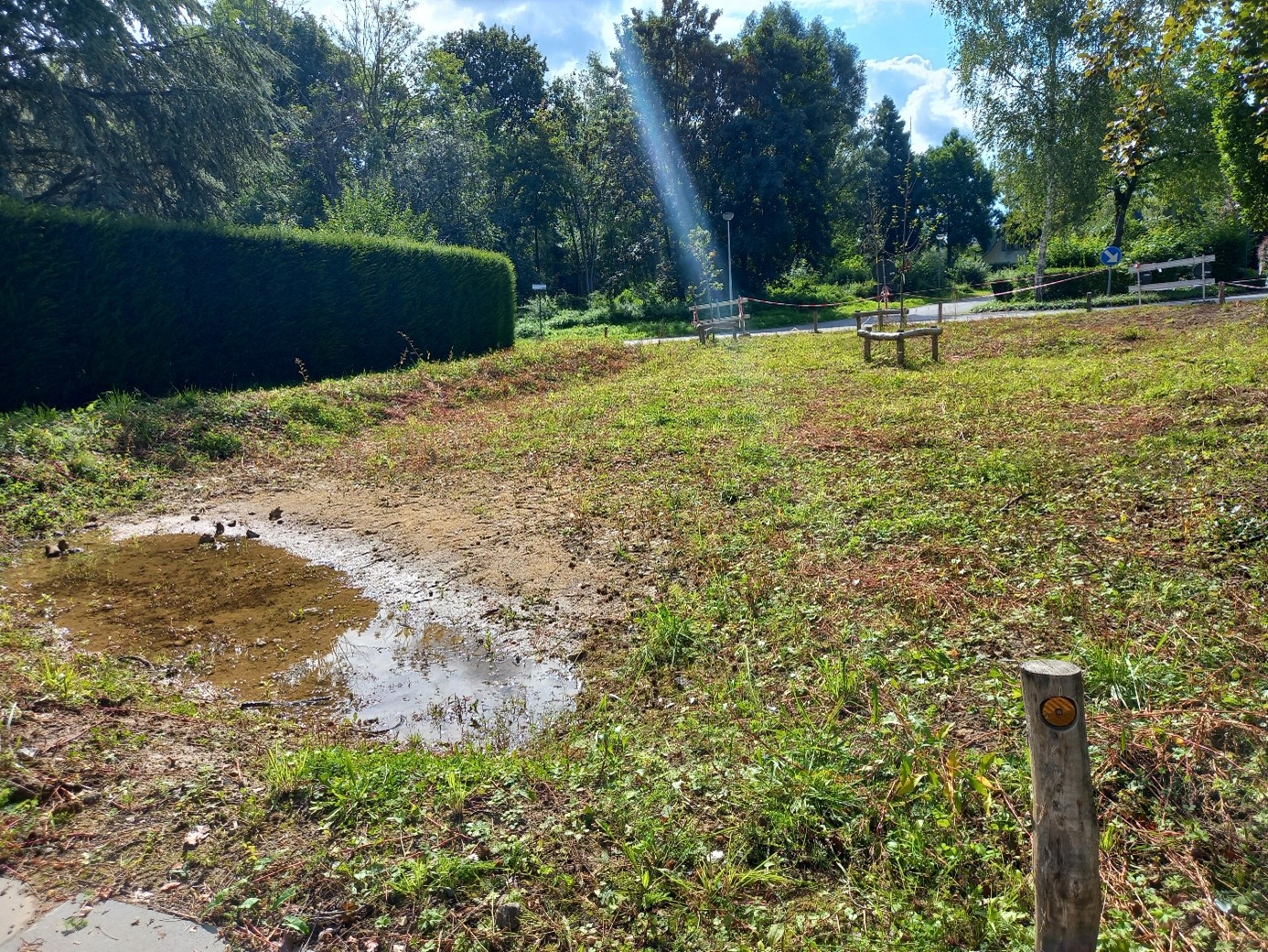 Foto toont Zwanenlaan na inrichting met wadi