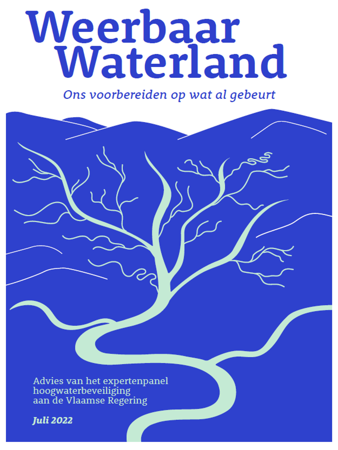 Cover adviesdocument