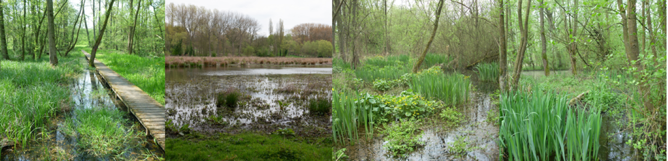 overzicht landschappen Wellemeersen