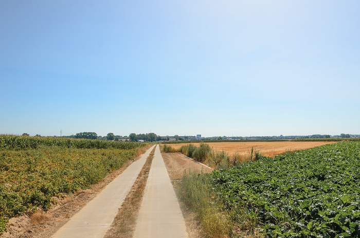 Foto toont een uitwijkstrook