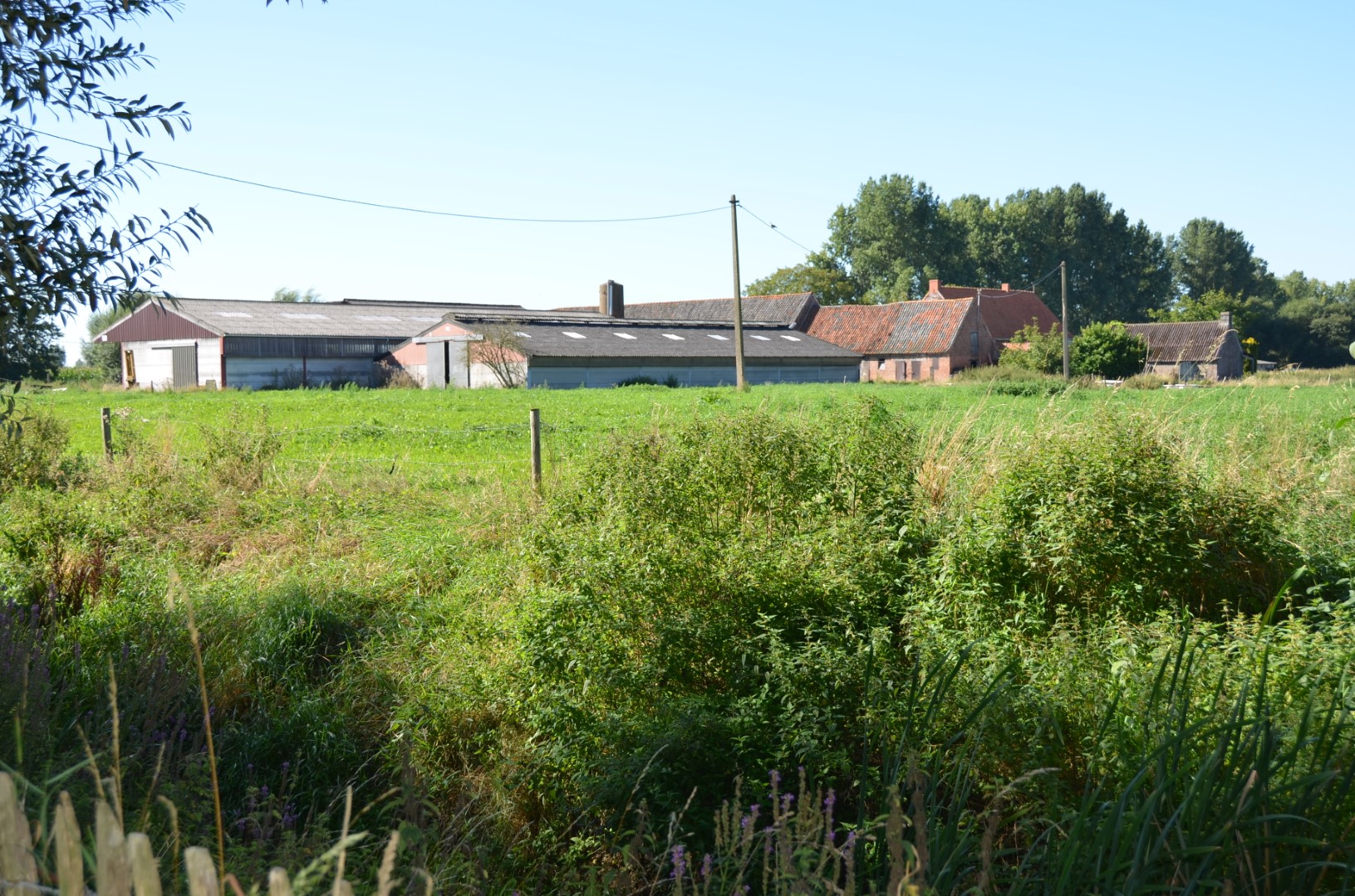 zicht op hoeve Langedreef