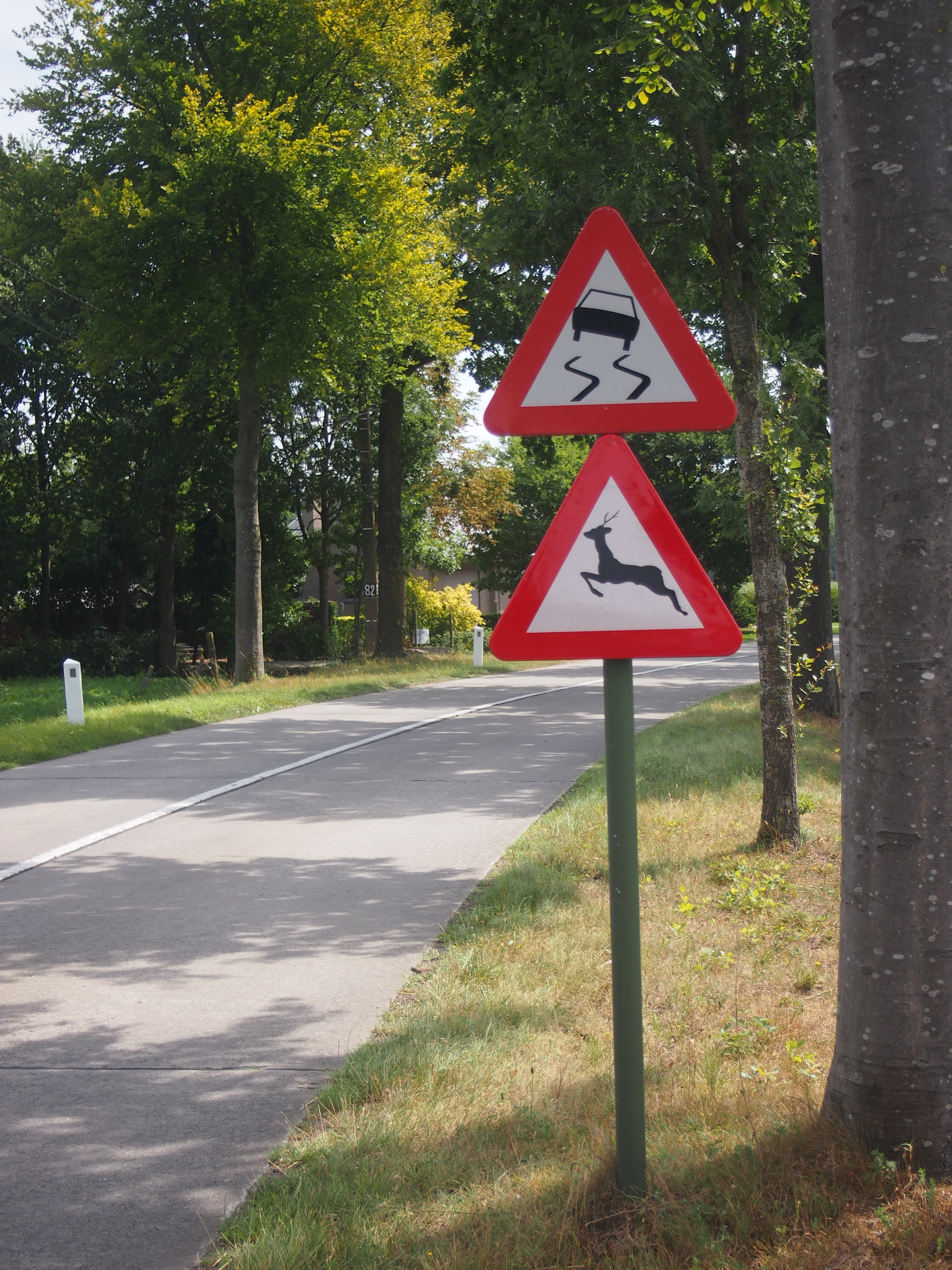 wildwaarschuwingsbord onder bord "slipgevaar"