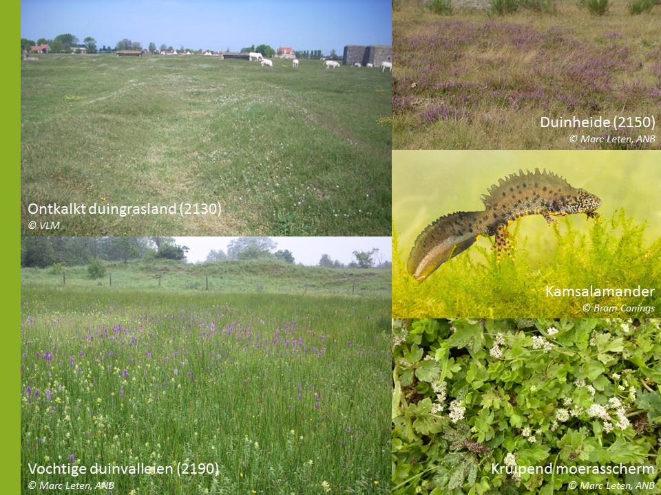 Europese topnatuur